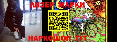 Альфа ПВП Дубна